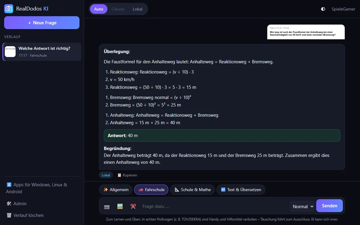 RealDodos KI – Ansicht am PC